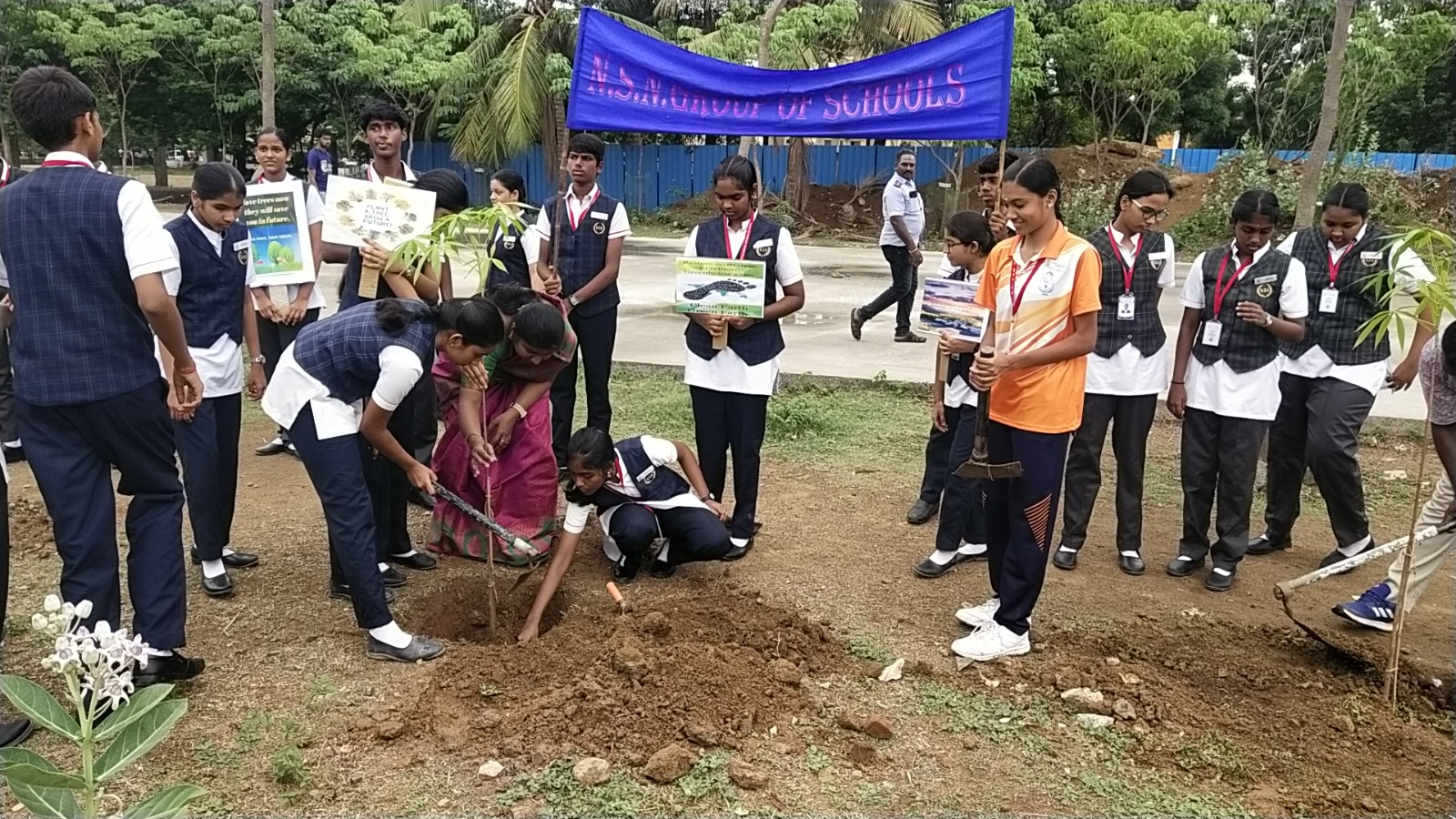 Tree Plantation Drive